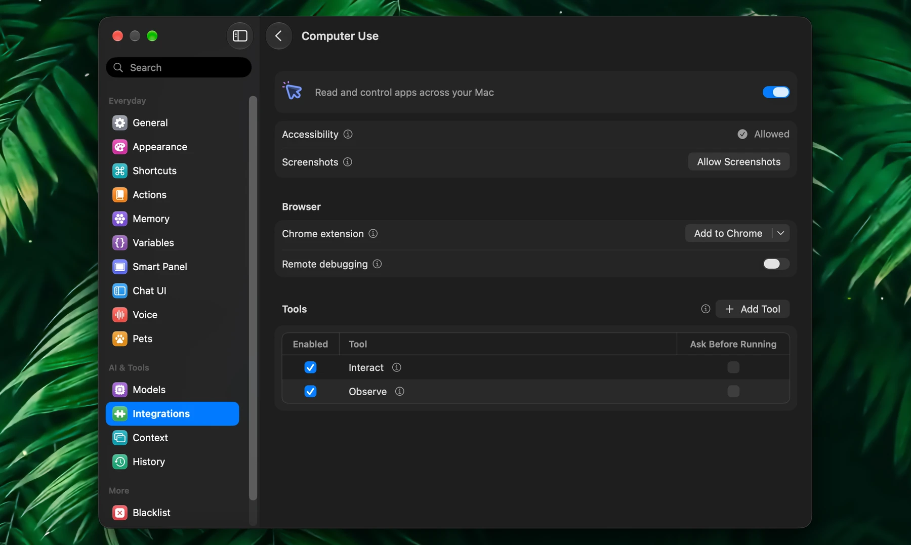 Fluent – Computer Use Settings