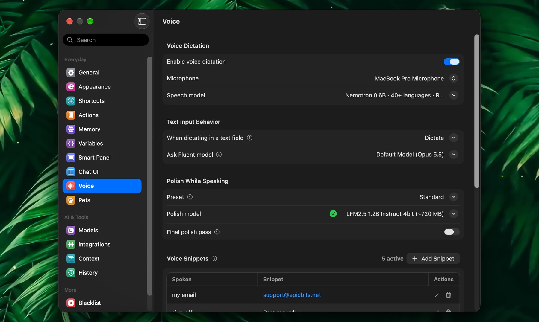 Fluent – Voice Settings